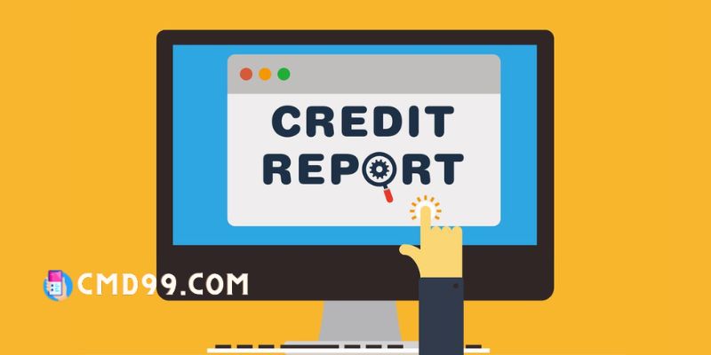 Vigilant Credit Report Surveillance